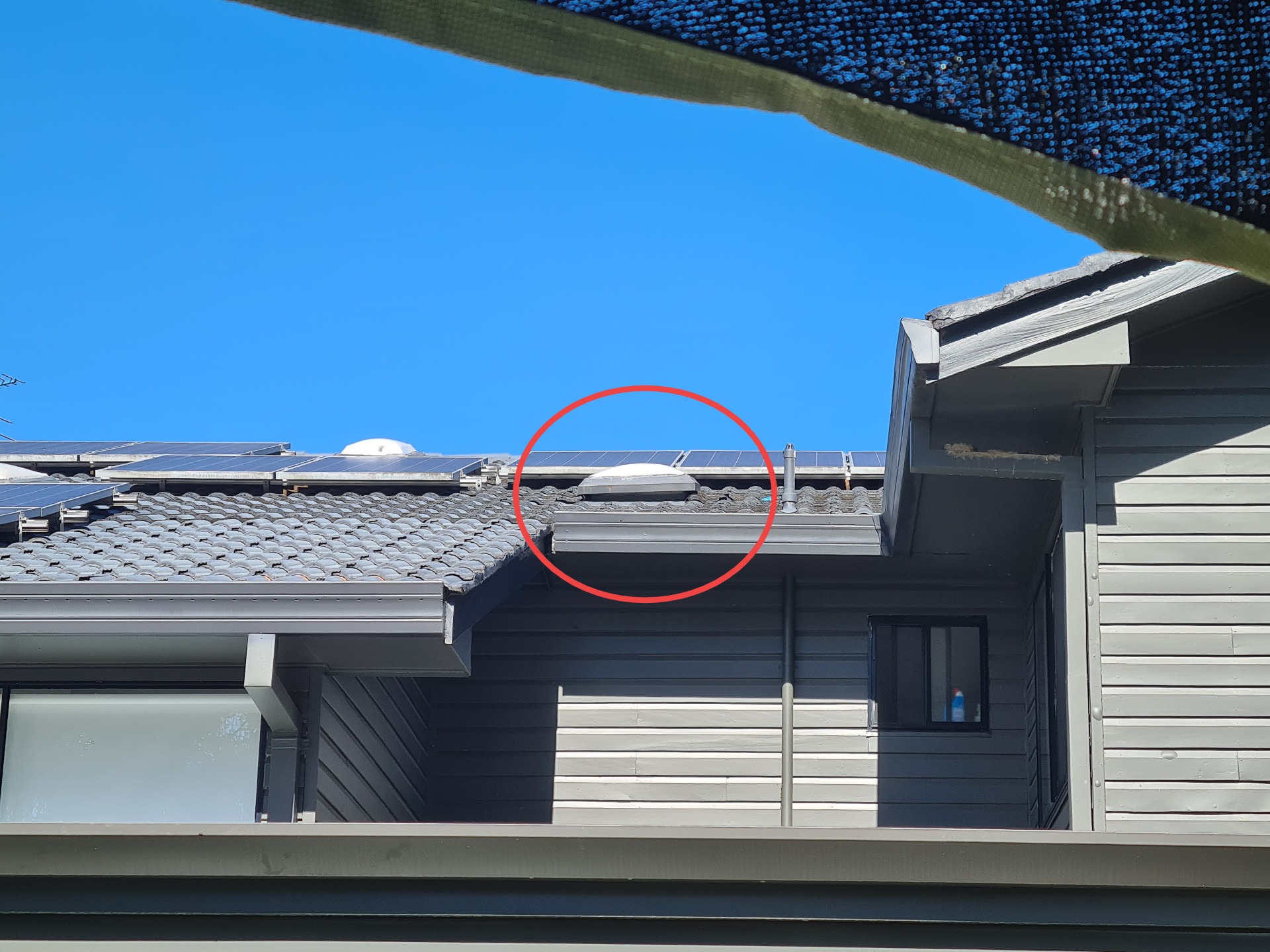 Skylight replacement & gutter overflow - before transformation photo