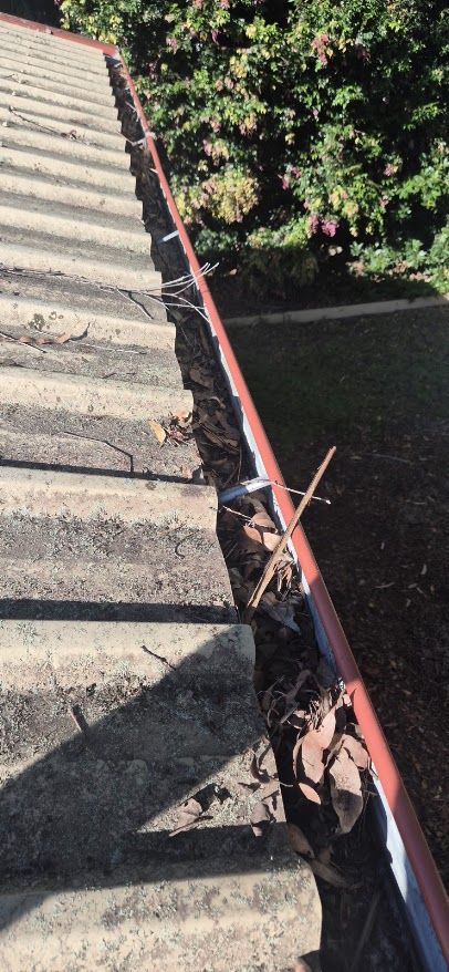 Gutter cleaning — Park Ridge – before