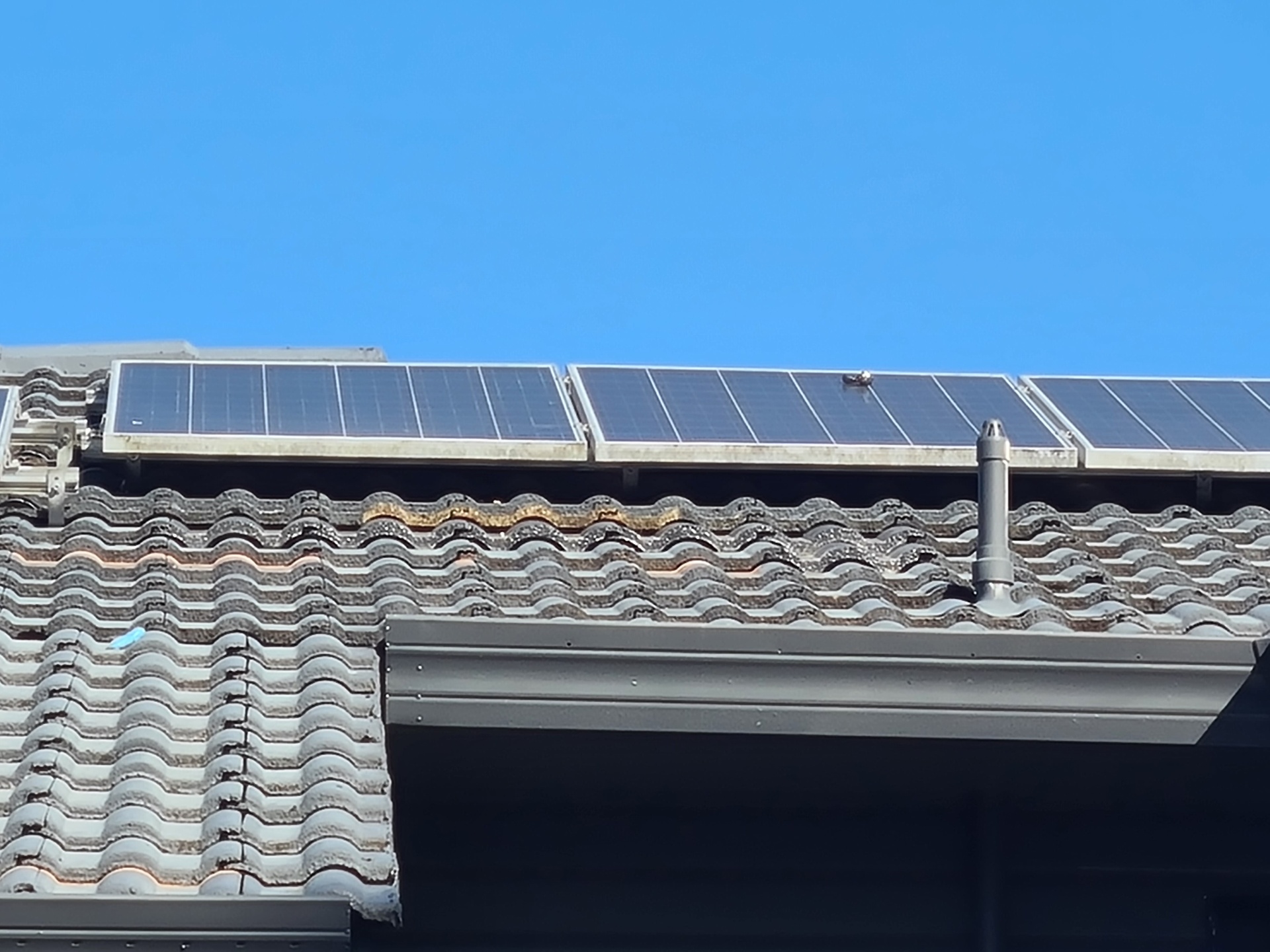 Skylight replacement & gutter overflow - after transformation photo