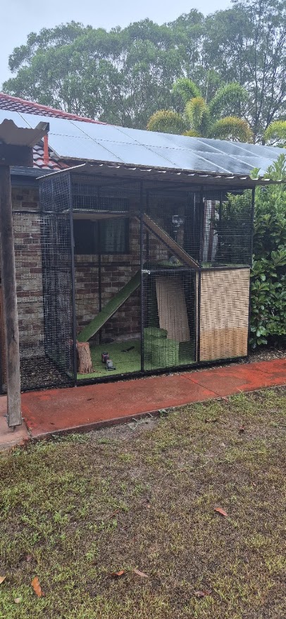 Outdoor catio build – after