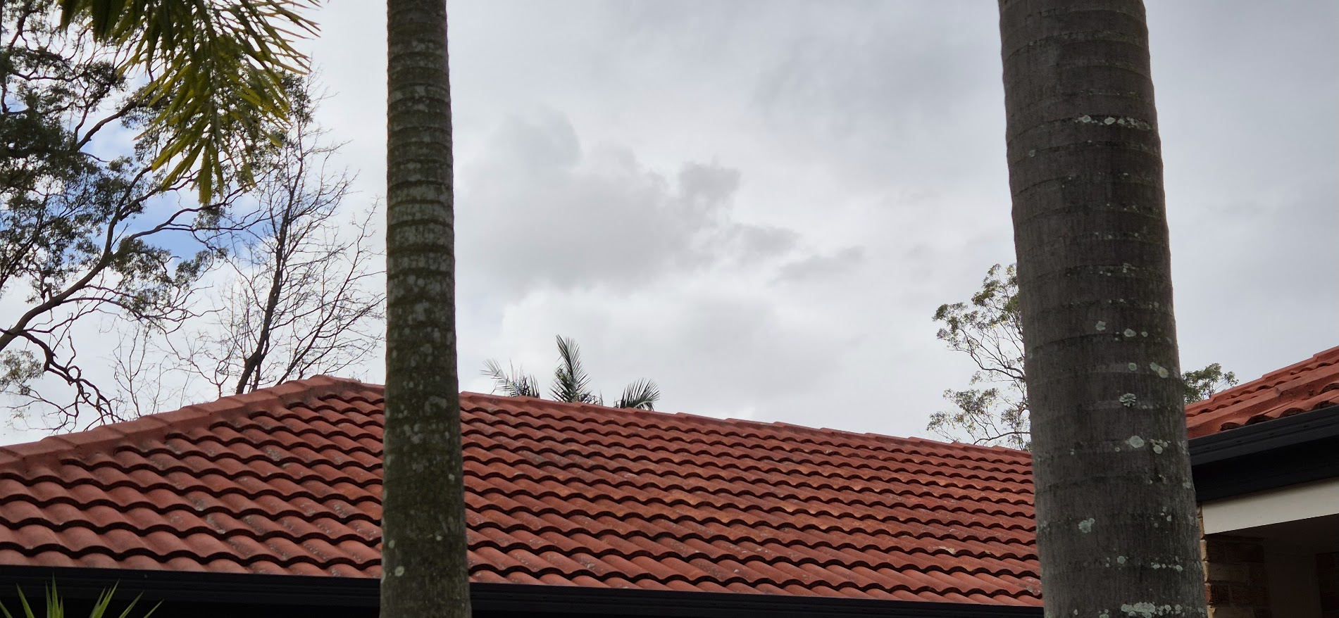 Roof cleaning — Brisbane QLD – after