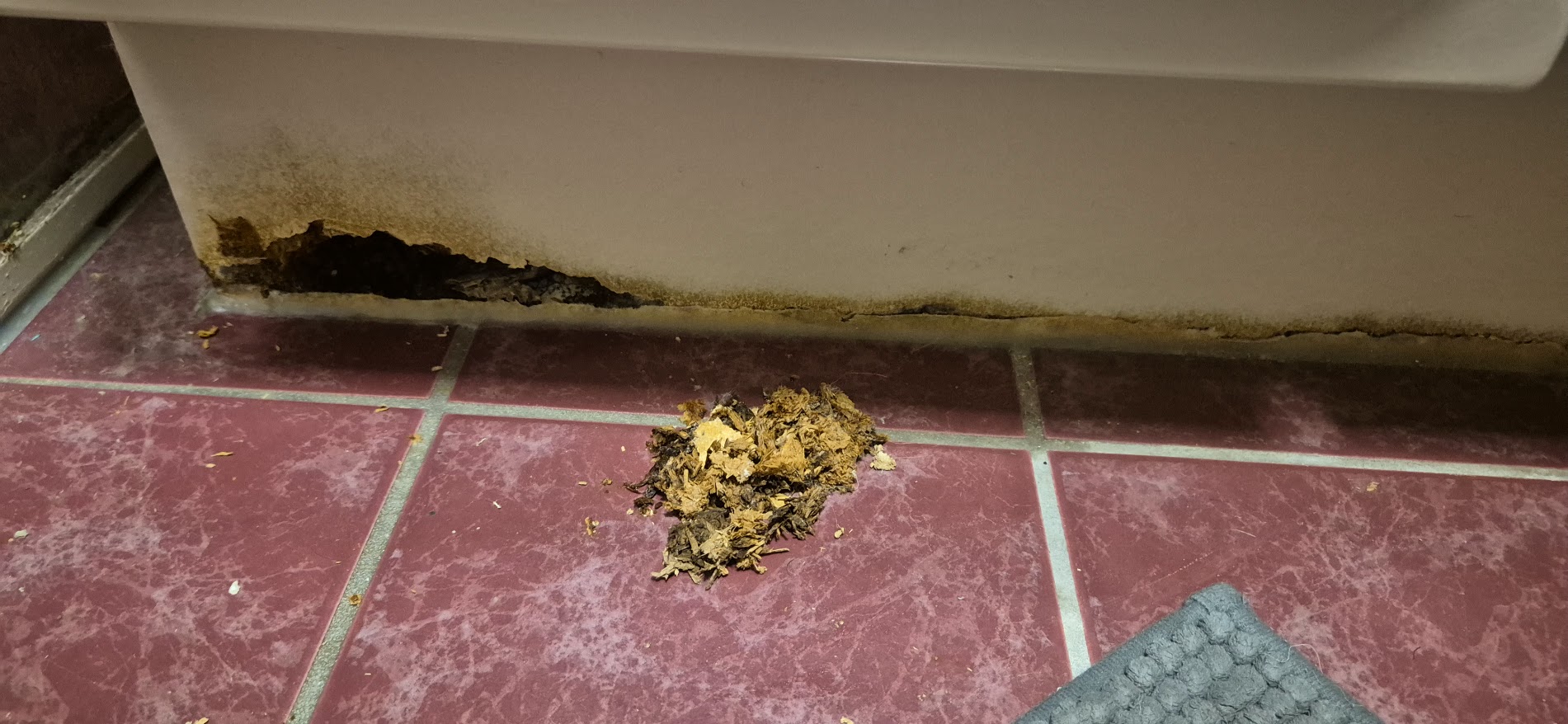 Bathroom renovation – before