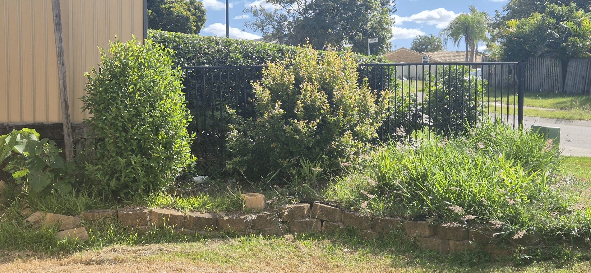 Landscaping rebuild – before