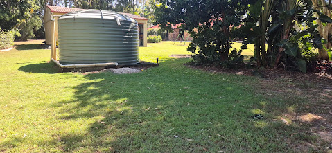 Garden tidy-up – before
