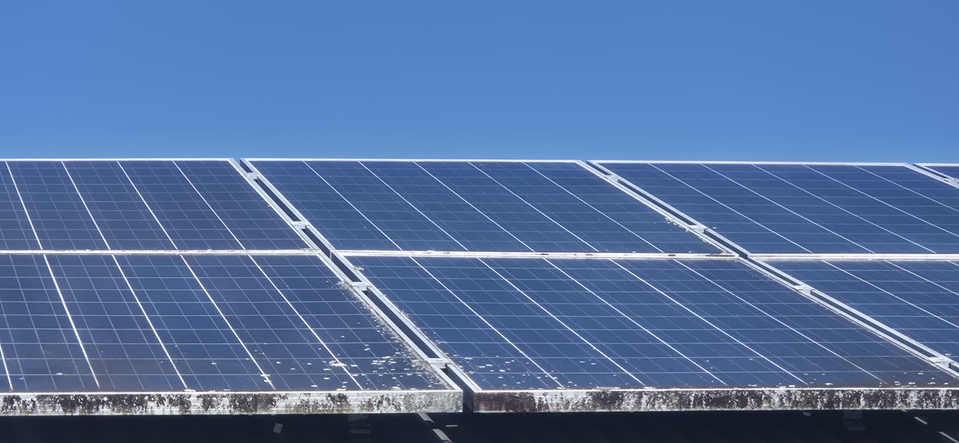 Solar panel cleaning – before